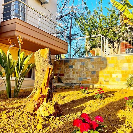 קאטו דרטסו Glaros Beach Apartment מראה חיצוני תמונה