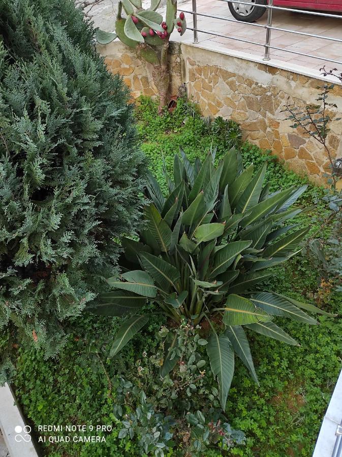 קאטו דרטסו Glaros Beach Apartment מראה חיצוני תמונה