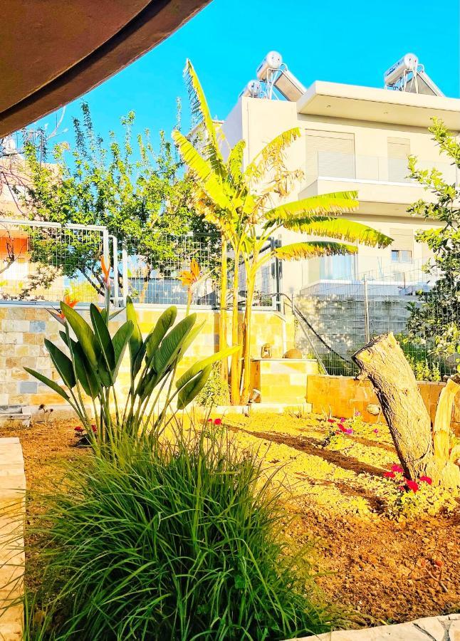 קאטו דרטסו Glaros Beach Apartment מראה חיצוני תמונה